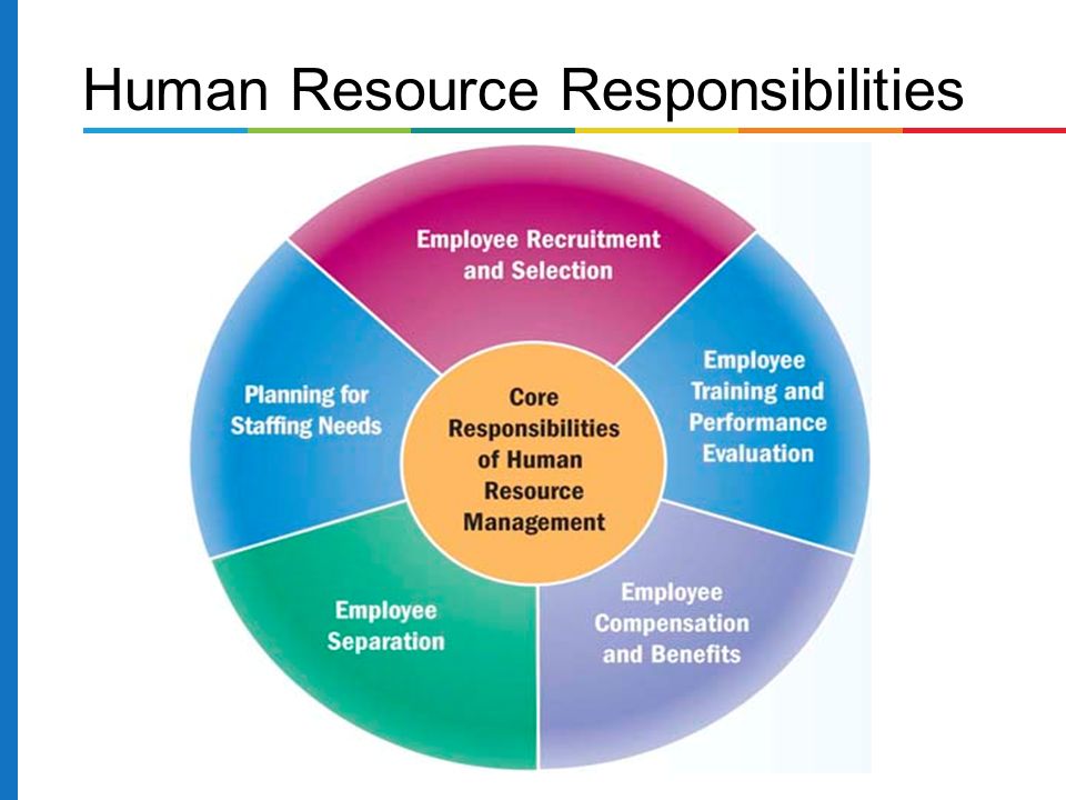 Examining the roles and responsibilities of human resource management